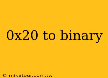 0x20 to binary