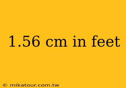 1.56 cm in feet