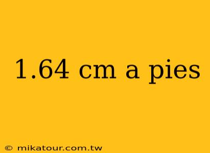 1.64 cm a pies