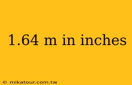 1.64 m in inches