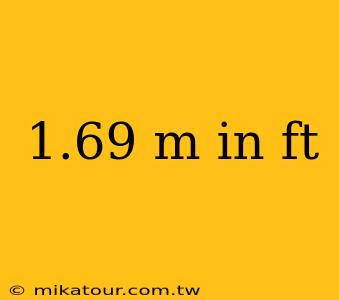 1.69 m in ft