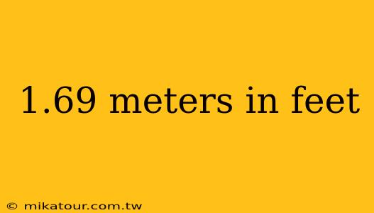 1.69 meters in feet