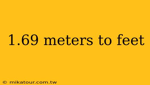 1.69 meters to feet