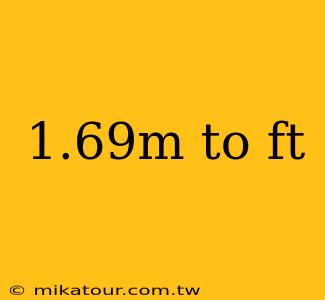 1.69m to ft