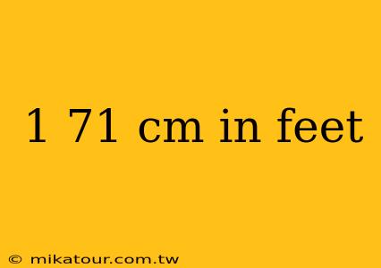 1 71 cm in feet