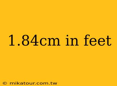 1.84cm in feet