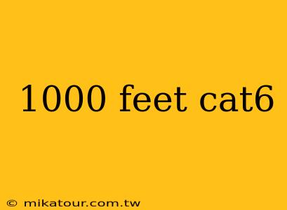 1000 feet cat6