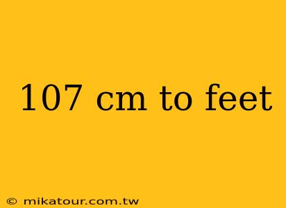 107 cm to feet