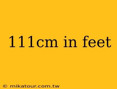 111cm in feet