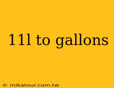 11l to gallons