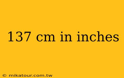 137 cm in inches