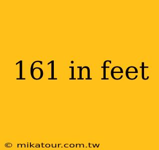 161 in feet