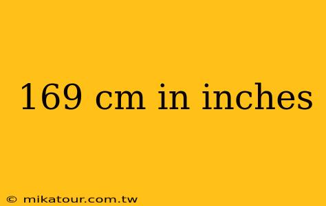 169 cm in inches