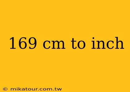 169 cm to inch