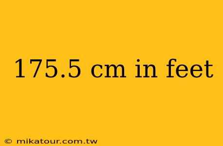 175.5 cm in feet