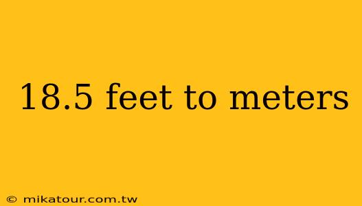 18.5 feet to meters