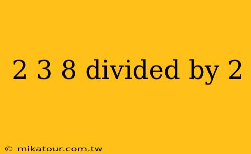 2 3 8 divided by 2