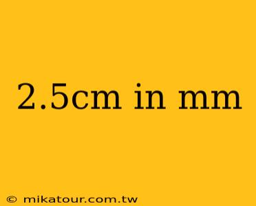 2.5cm in mm