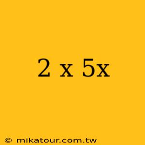 2 x 5x