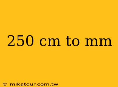 250 cm to mm