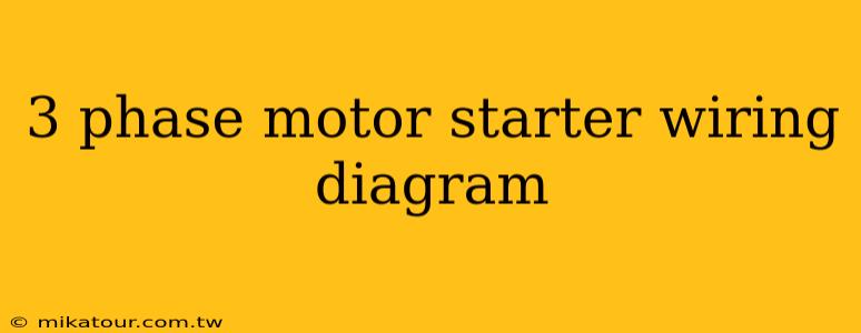 3 phase motor starter wiring diagram