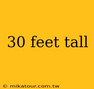 30 feet tall