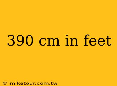 390 cm in feet