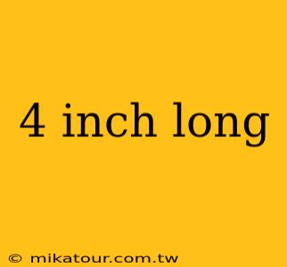 4 inch long