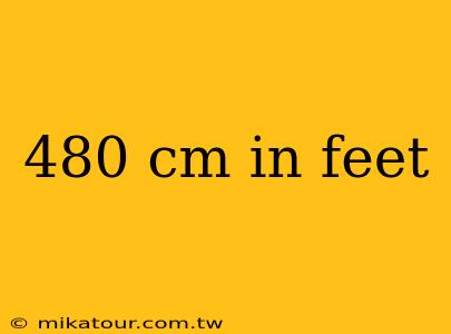 480 cm in feet