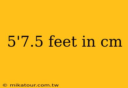 5'7.5 feet in cm