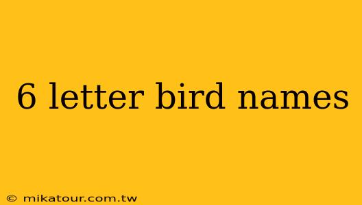 6 letter bird names