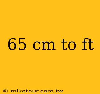 65 cm to ft