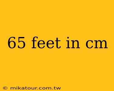 65 feet in cm