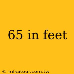 65 in feet