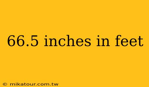 66.5 inches in feet