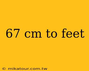 67 cm to feet