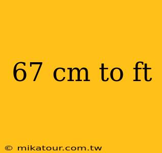 67 cm to ft