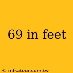 69 in feet