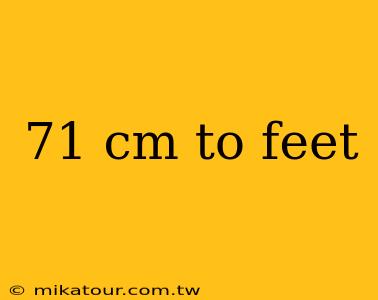 71 cm to feet