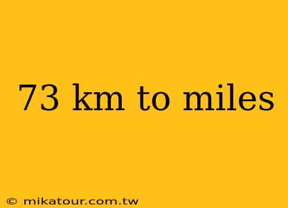 73 km to miles