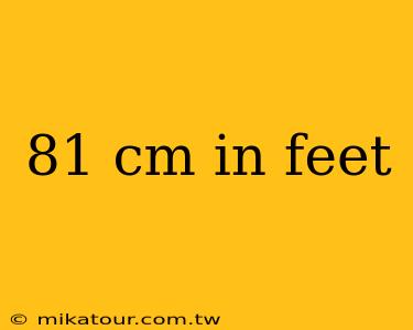 81 cm in feet