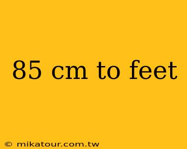 85 cm to feet