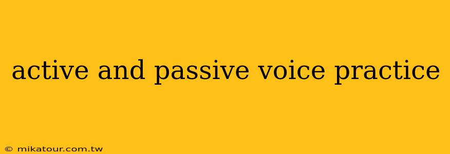 active and passive voice practice