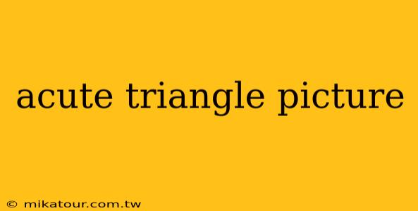 acute triangle picture