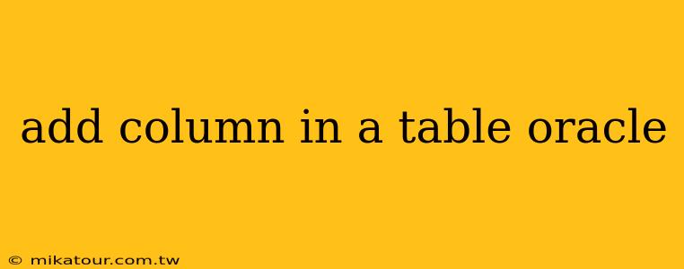 add column in a table oracle