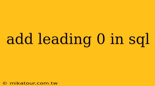 add leading 0 in sql