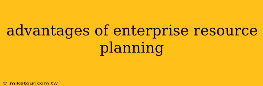 advantages of enterprise resource planning