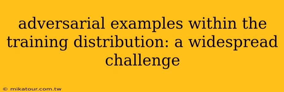 adversarial examples within the training distribution: a widespread challenge