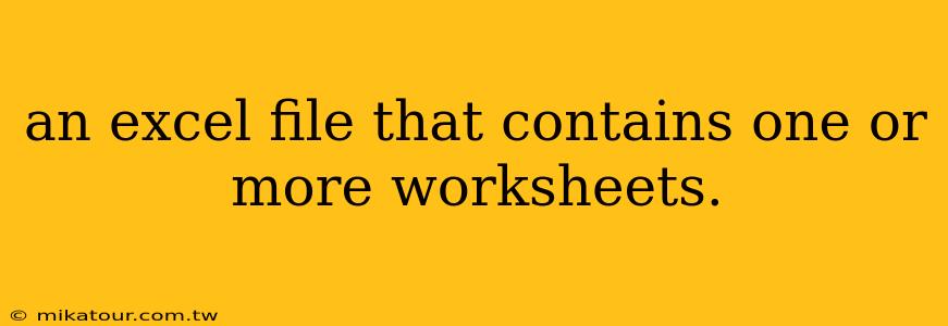 an excel file that contains one or more worksheets.