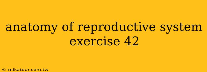 anatomy of reproductive system exercise 42